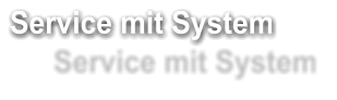 Service mit System